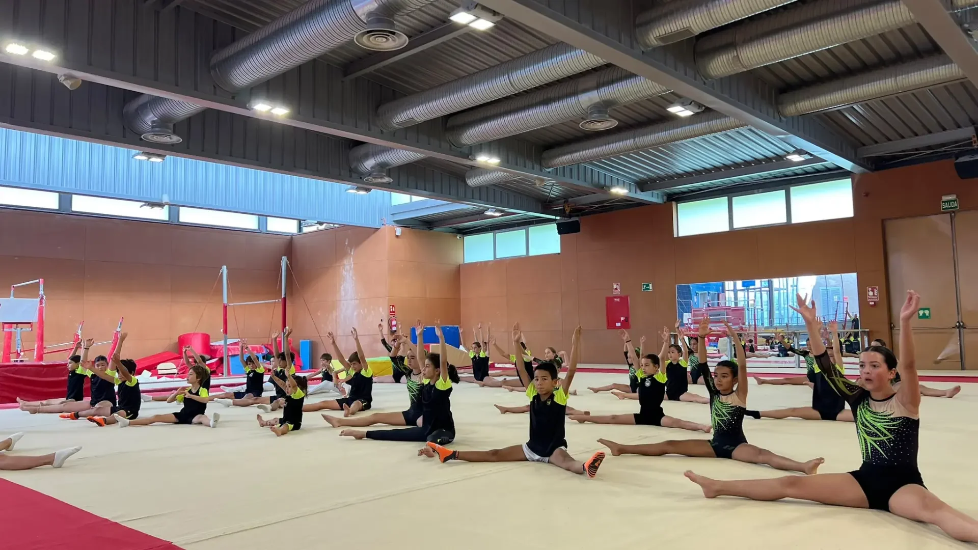 CGA Fénix Las Rozas Artistic Gymnastics photo 1