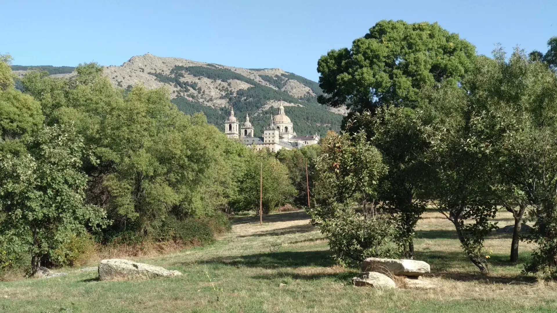 Bosque de La Herrería photo 5