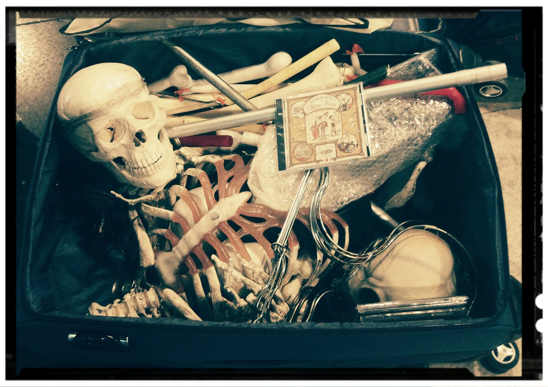 Halloween Songs of Fright and Laughter: The Family Scalofrini photo 4
