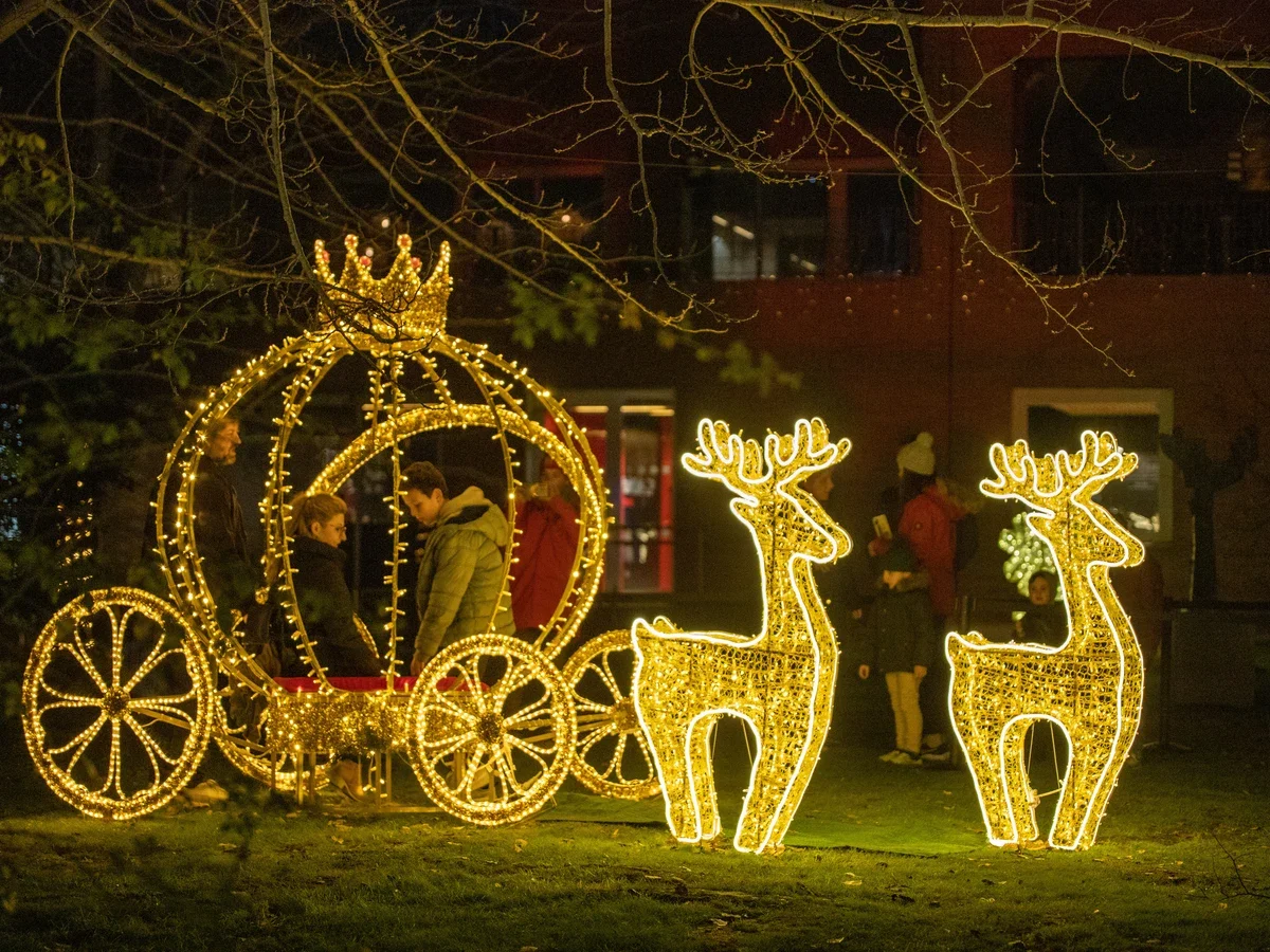 El Manantial de los Sueños: Christmas Park in Ciudad Universitaria photo 3