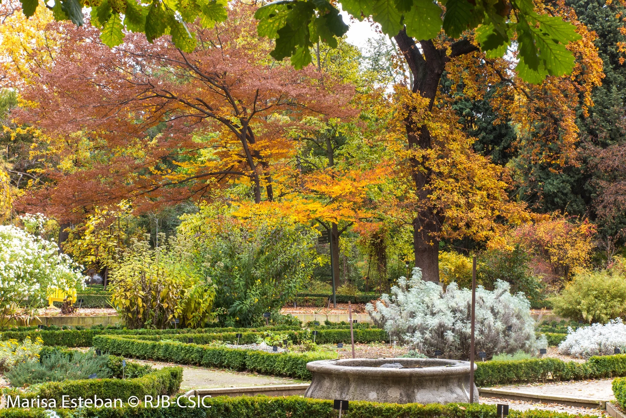 Real Jardín Botánico photo 4