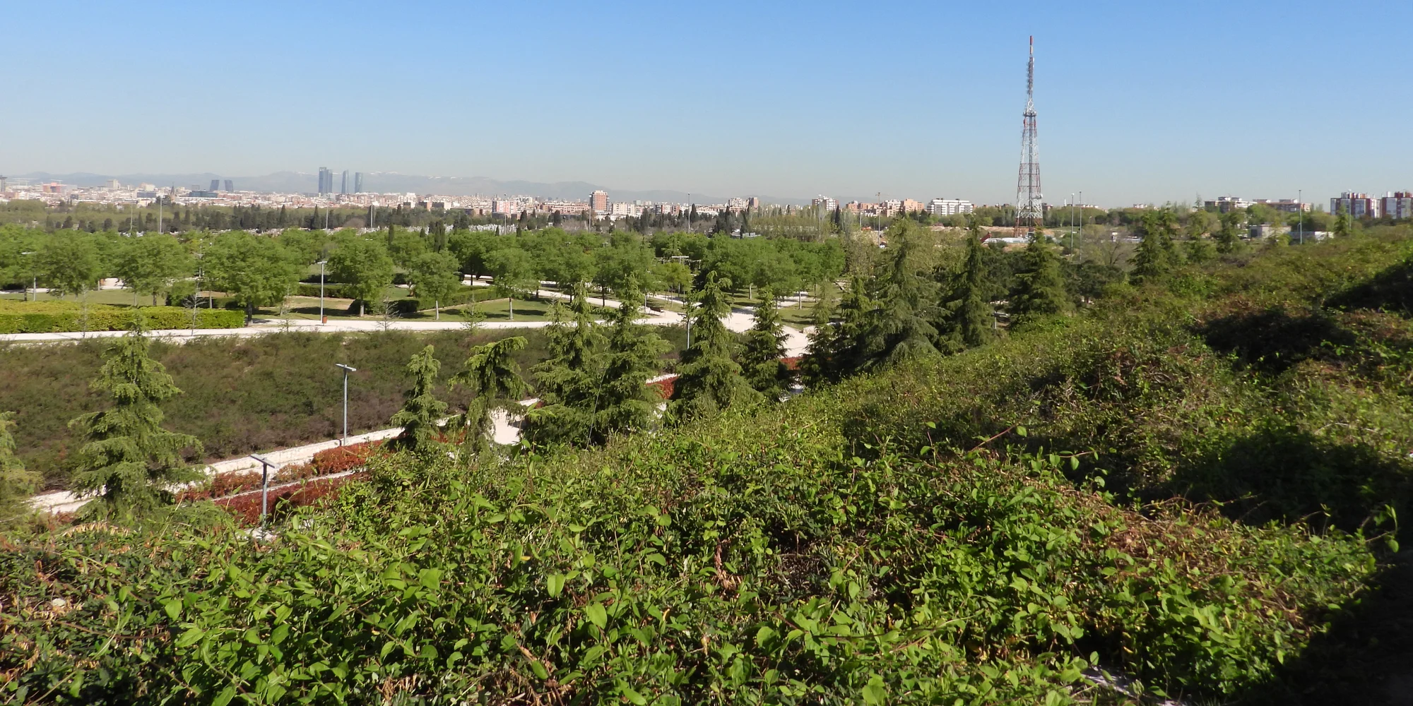 Cuña Verde de O'Donnell Playground photo 3