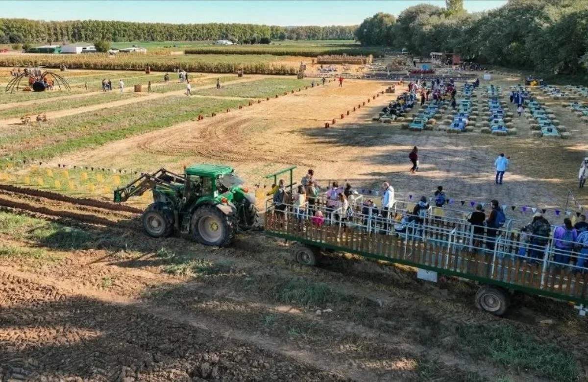 Pick Your Own Pumpkin at La Huerta de Aranjuez photo 4