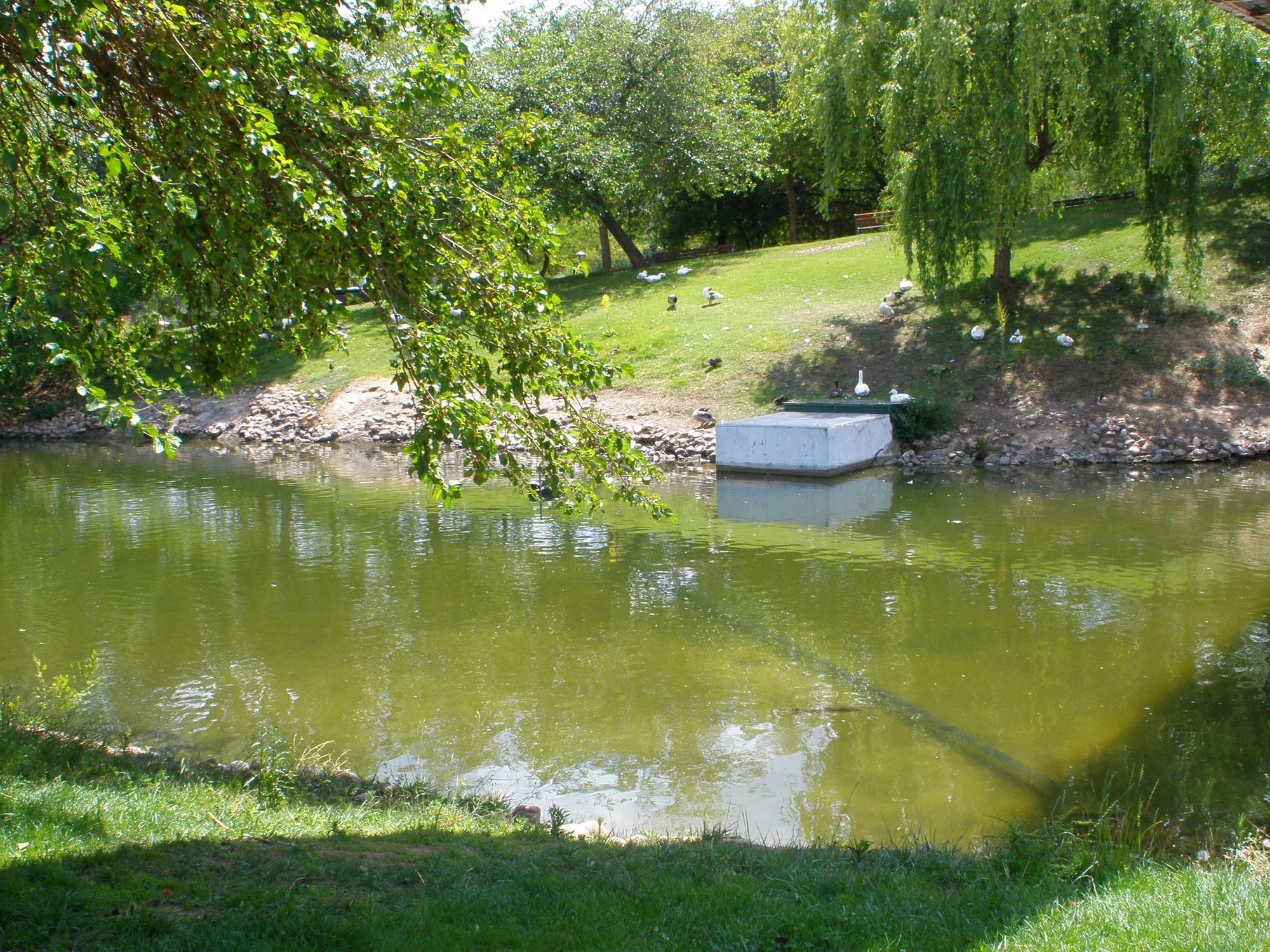 Parque de Andalucía photo 1
