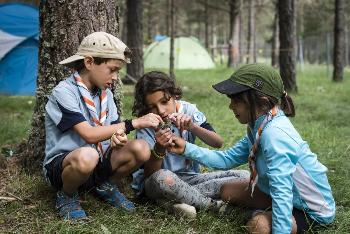 Exploradores de Madrid Scout Groups photo 4