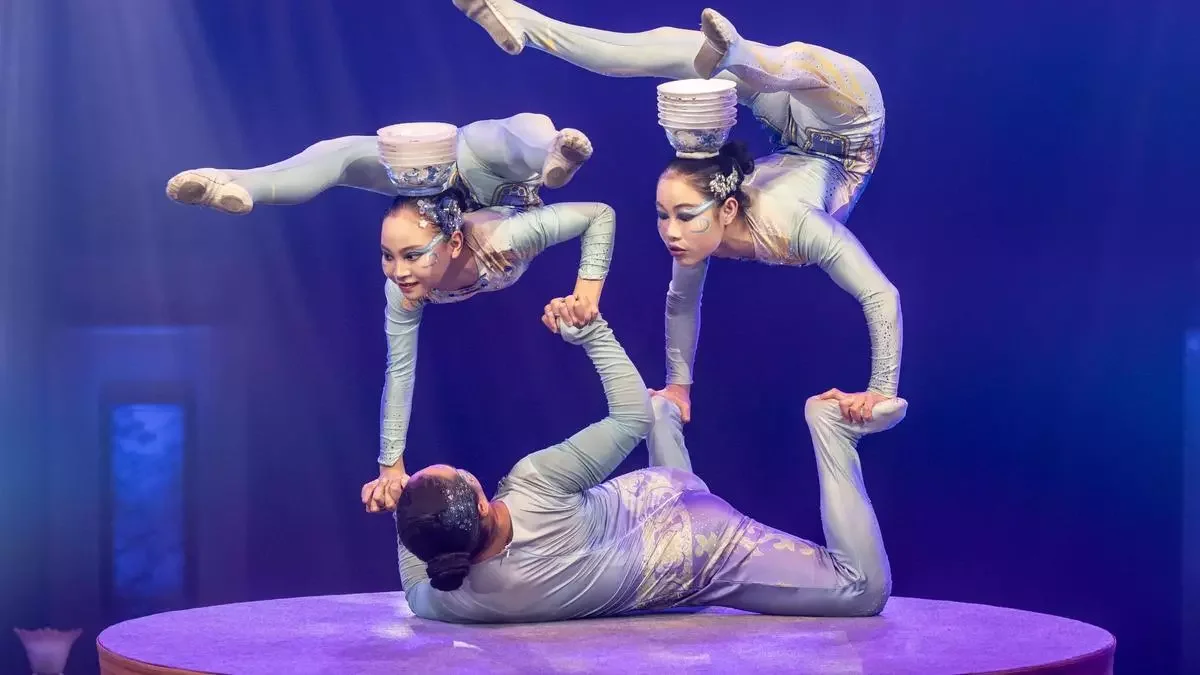Girona International Circus Festival photo 4