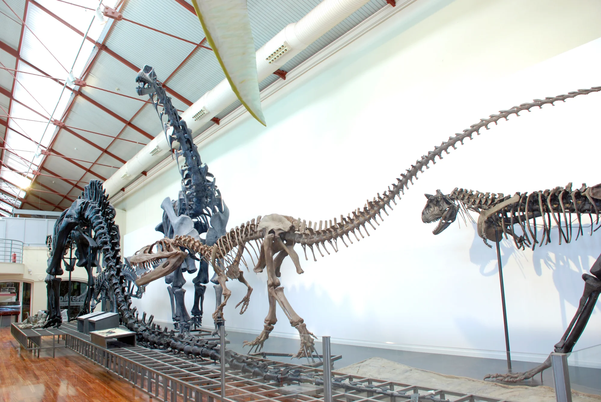 Museo Nacional de Ciencias Naturales photo 1