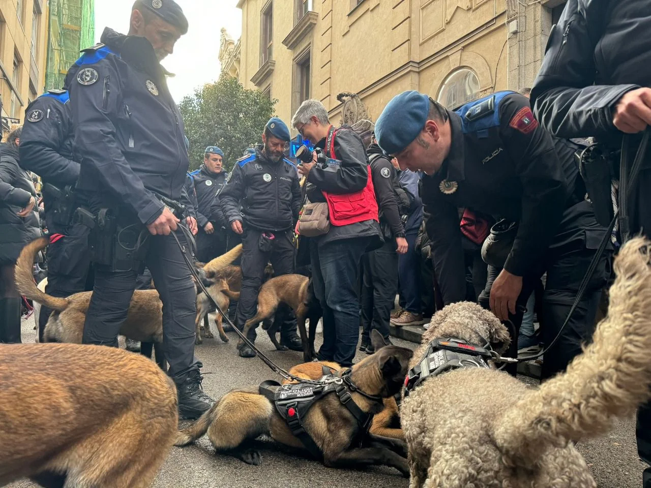 Fiestas de San Antón: Pet Blessing and Parade in Chueca photo 5
