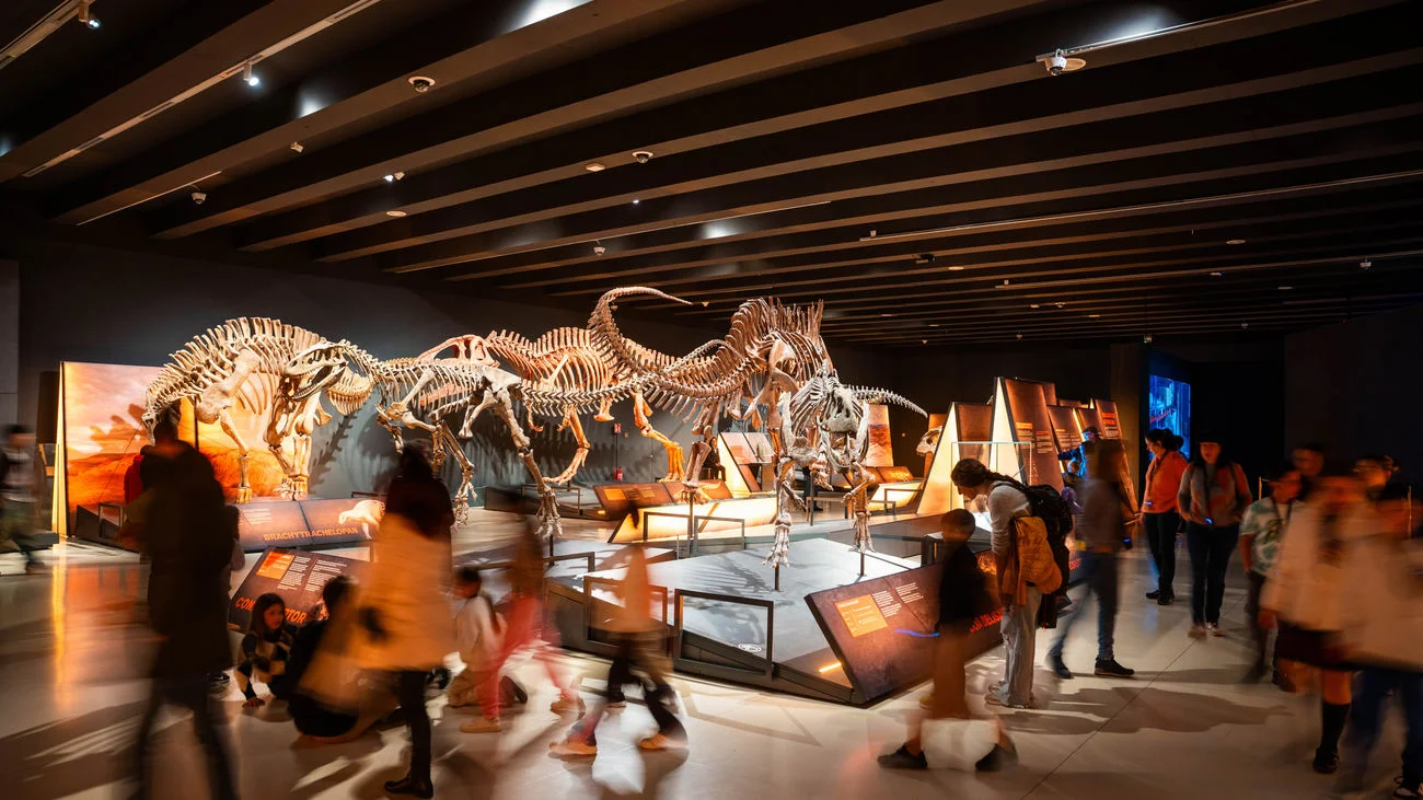 Museo Nacional de Ciencias Naturales photo 3
