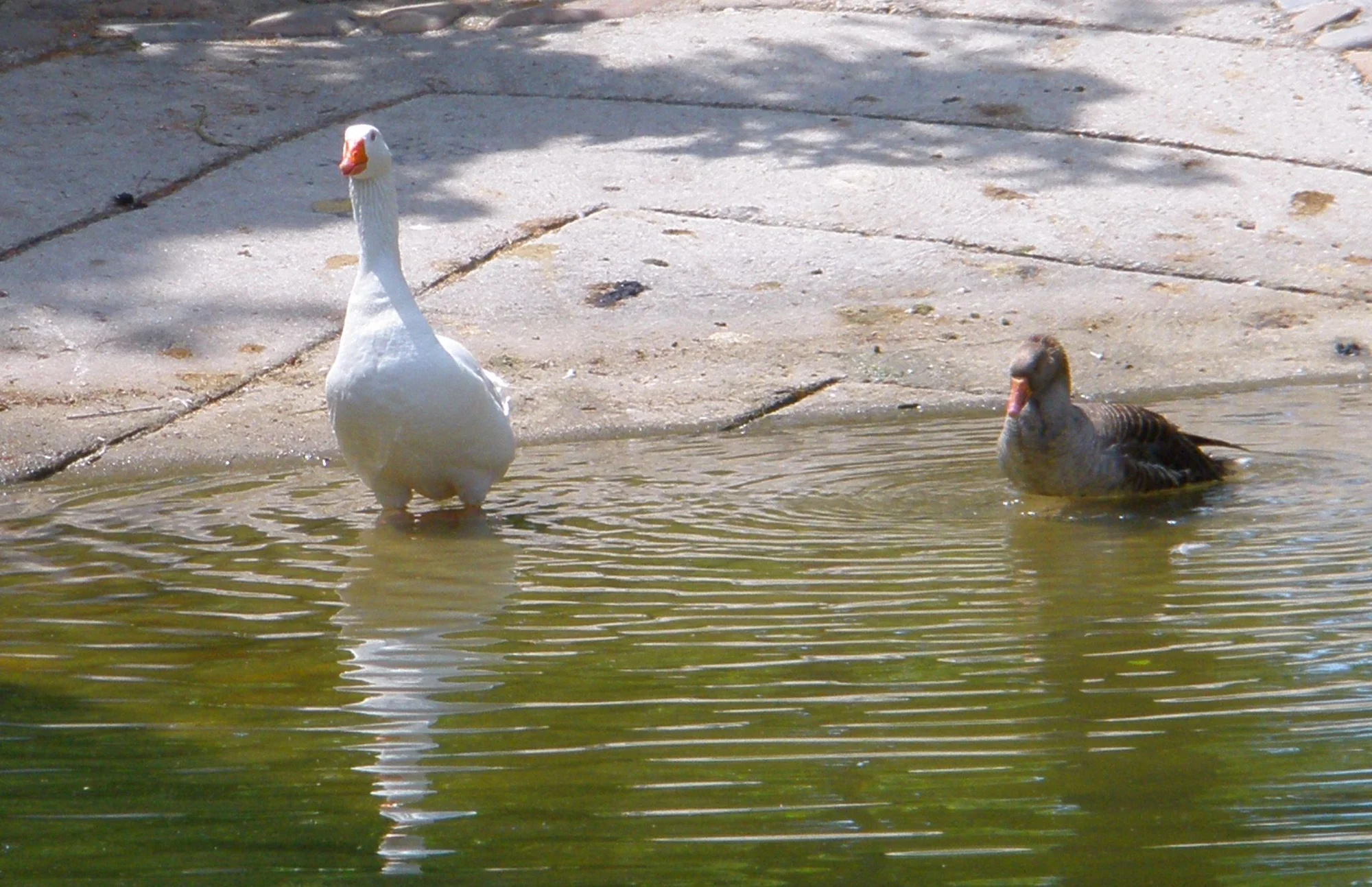 Parque de Andalucía photo 2