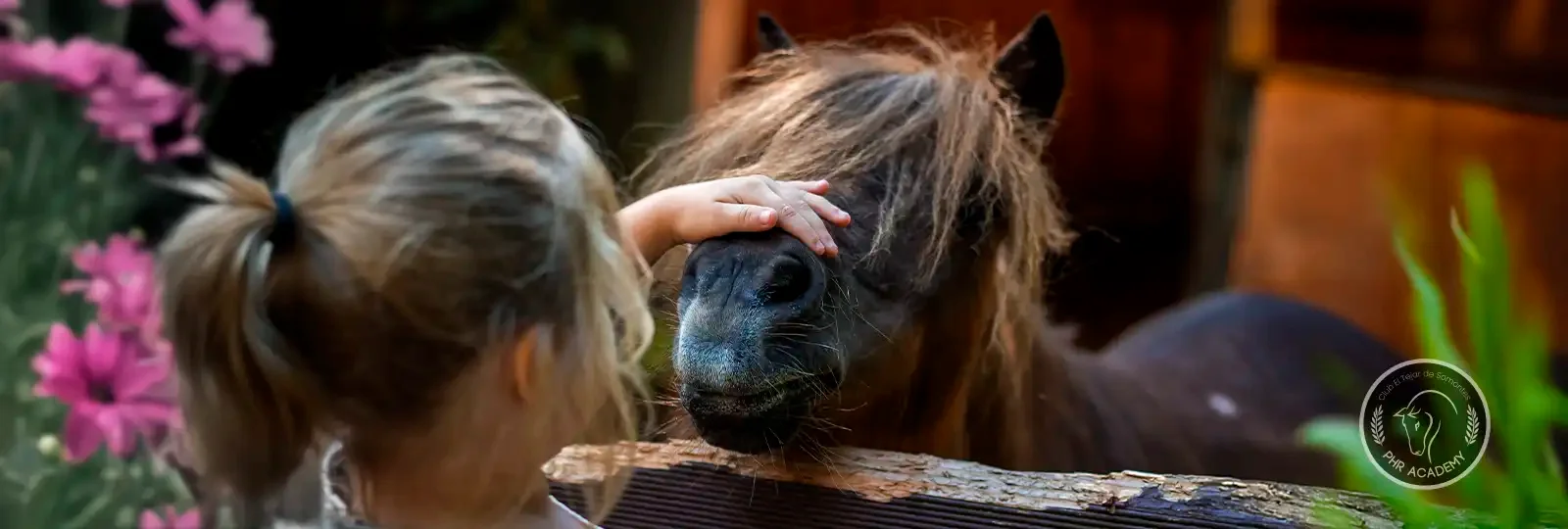 Horse Riding Camp: El Tejar de Somontes photo 2