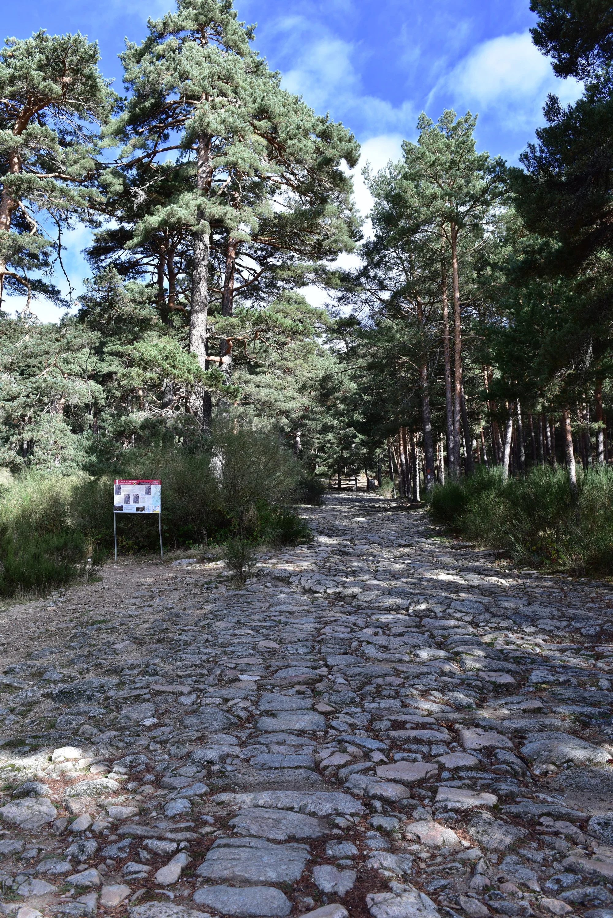 Valle de la Fuenfría photo 3
