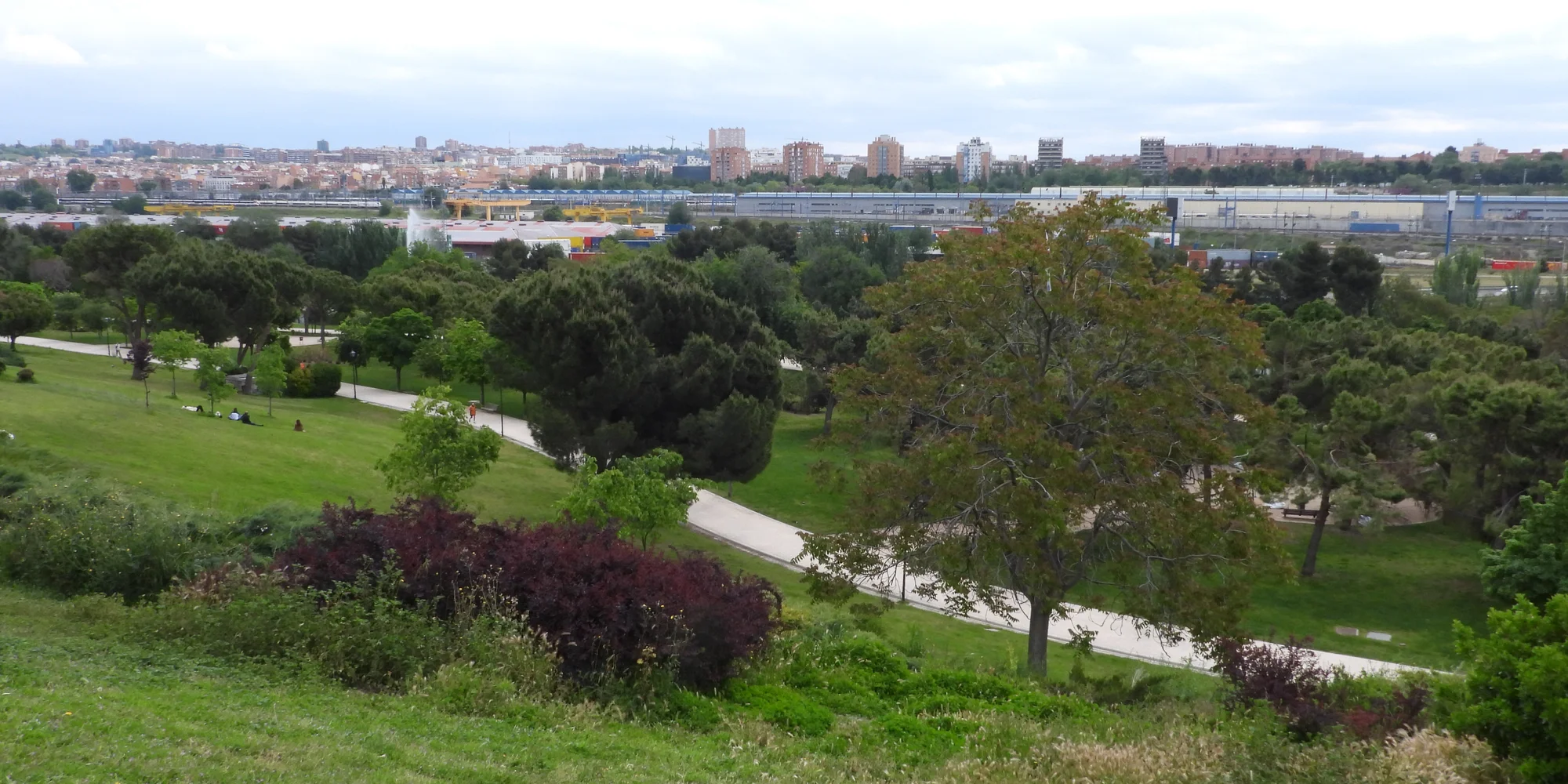 Parque Enrique Tierno Galván photo 4