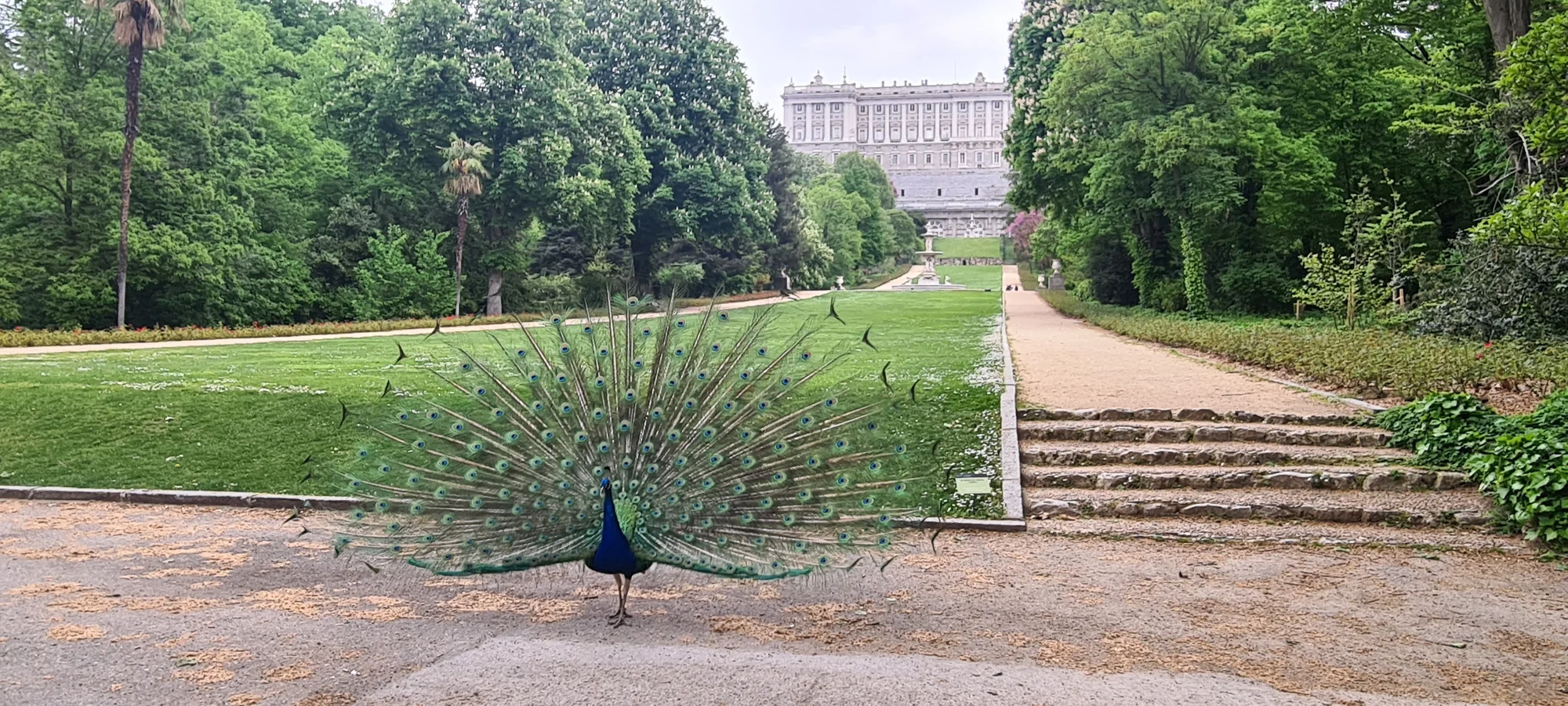 Jardines del Campo del Moro photo 2