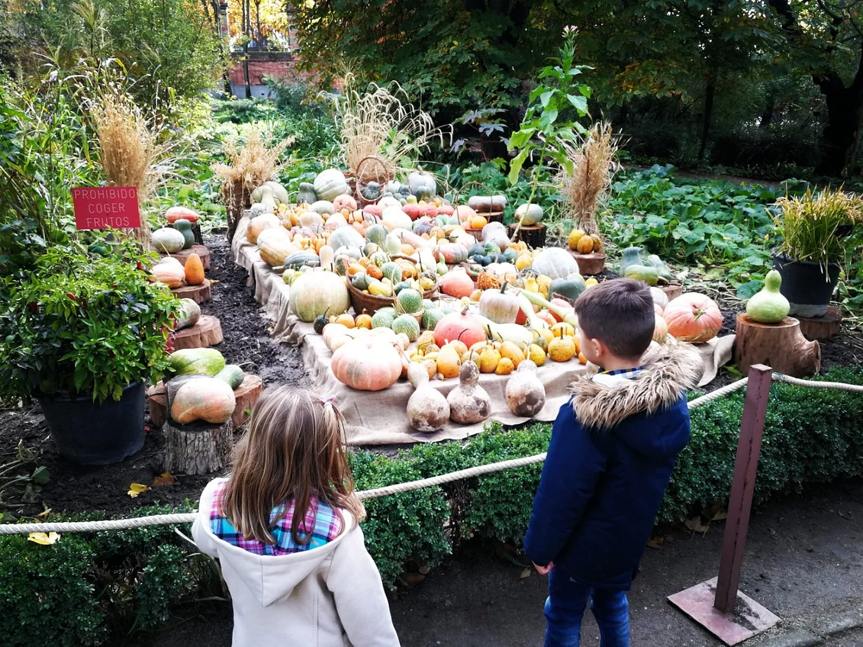 Pumpkin Exhibit at the Real Jardín Botánico photo 2