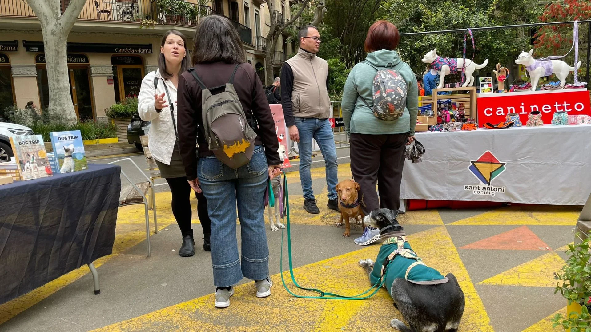 Bring Your Pet to the Tres Tombs Blessing photo 2