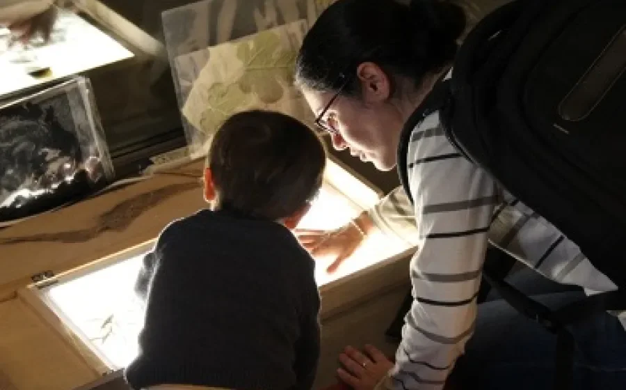 Investigactiva Science Room: Supermagnets, Energy and Nature photo 1