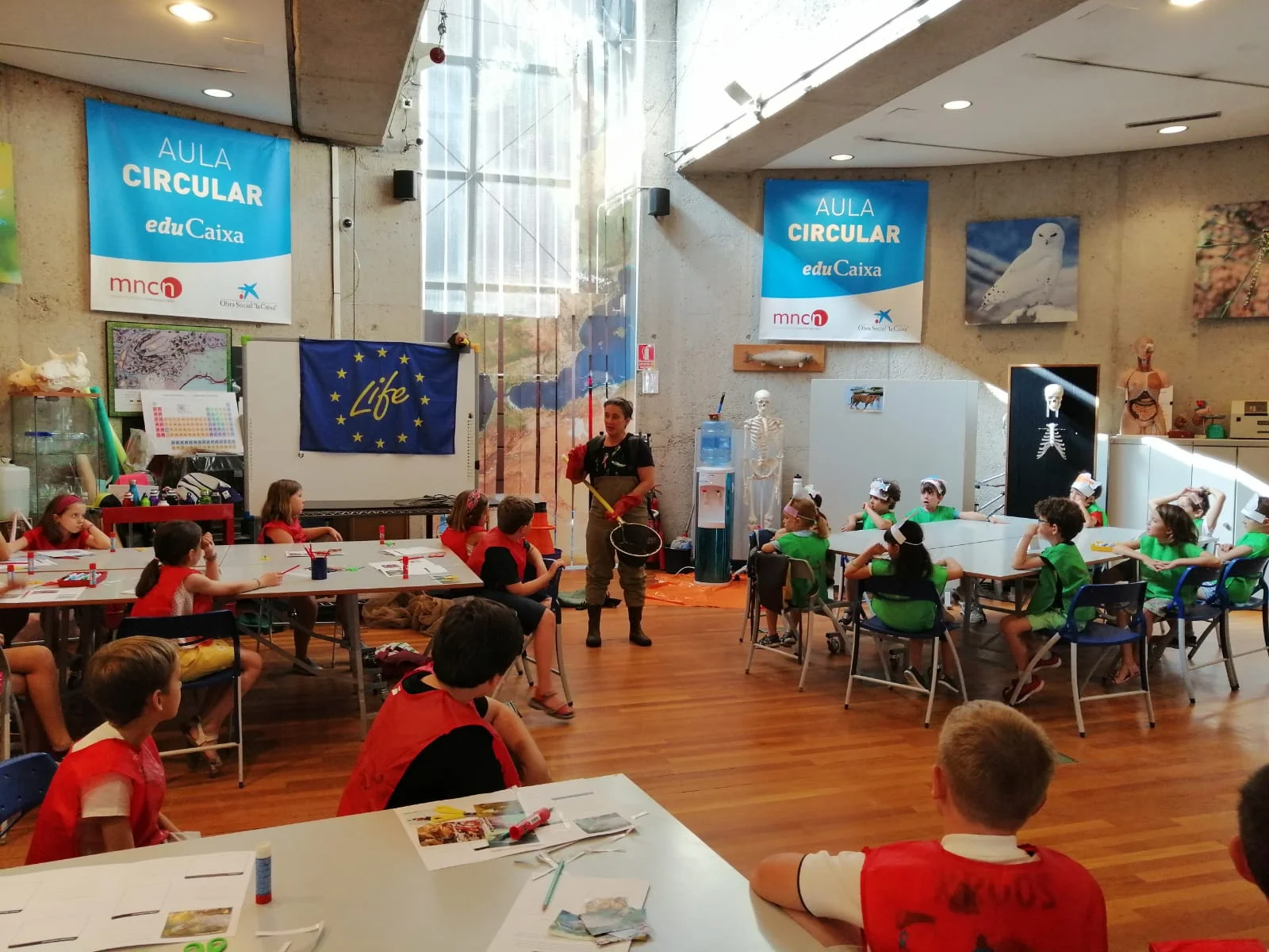 Museo de Verano: Natural Science Museum Camp (MNCN) photo 5