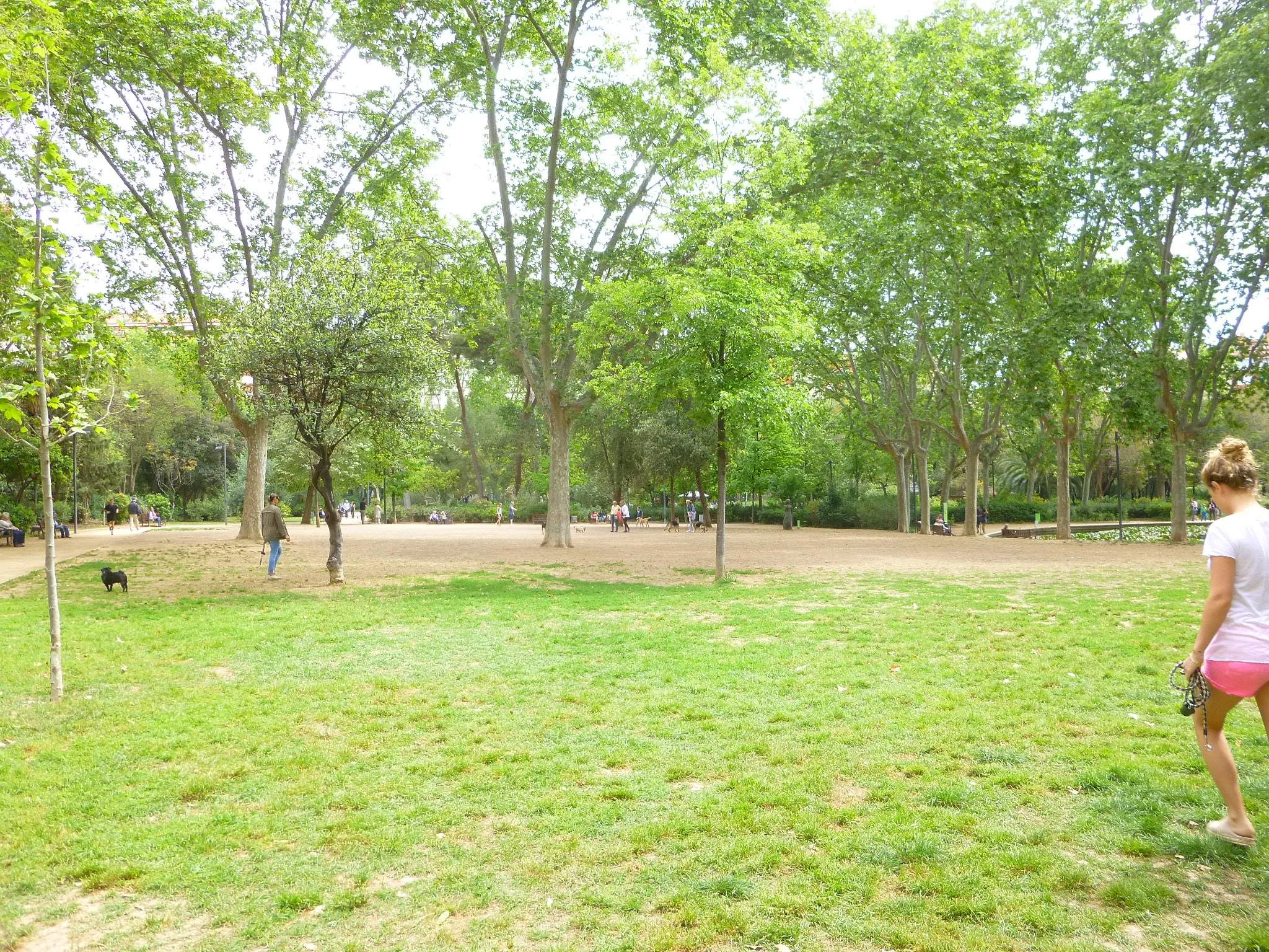 Turó Park photo 3