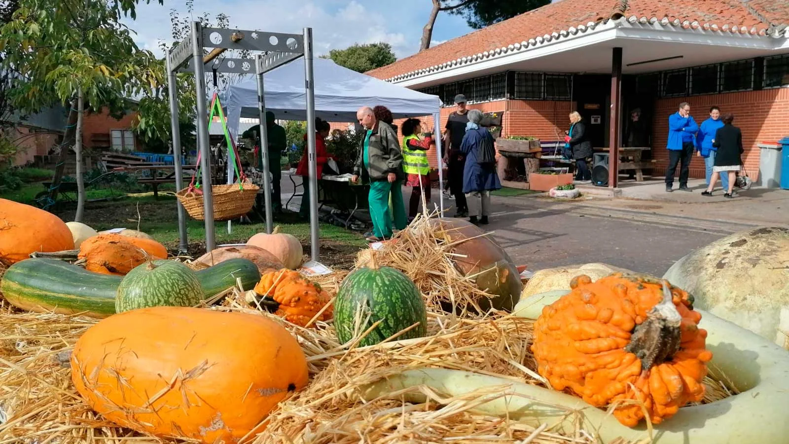 Fiesta de la Calabaza at El Retiro: Pumpkin Contest and Crafts photo 3