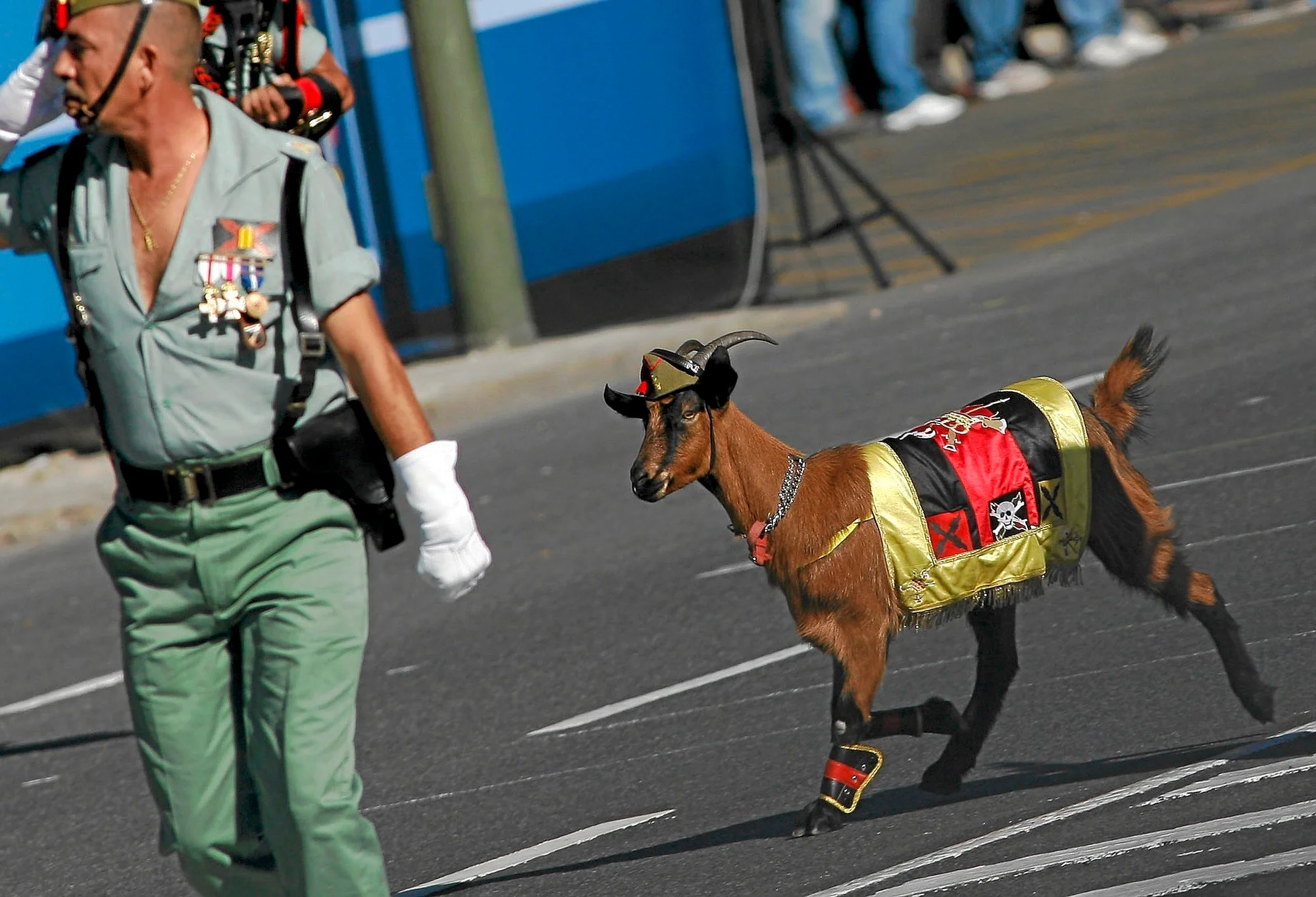 National Day Military Parade on Paseo del Prado photo 3