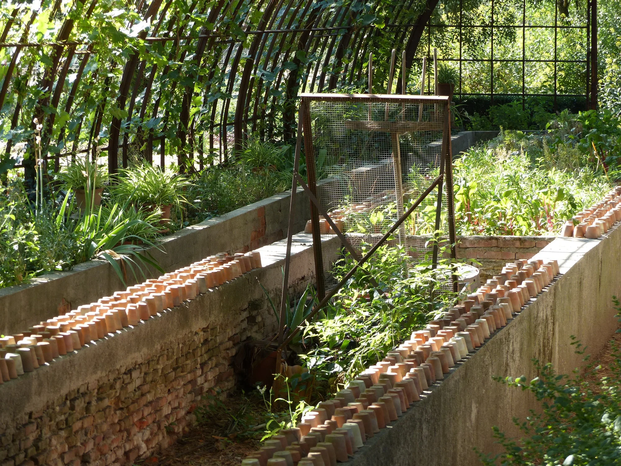 Quinta de Torre Arias photo 2