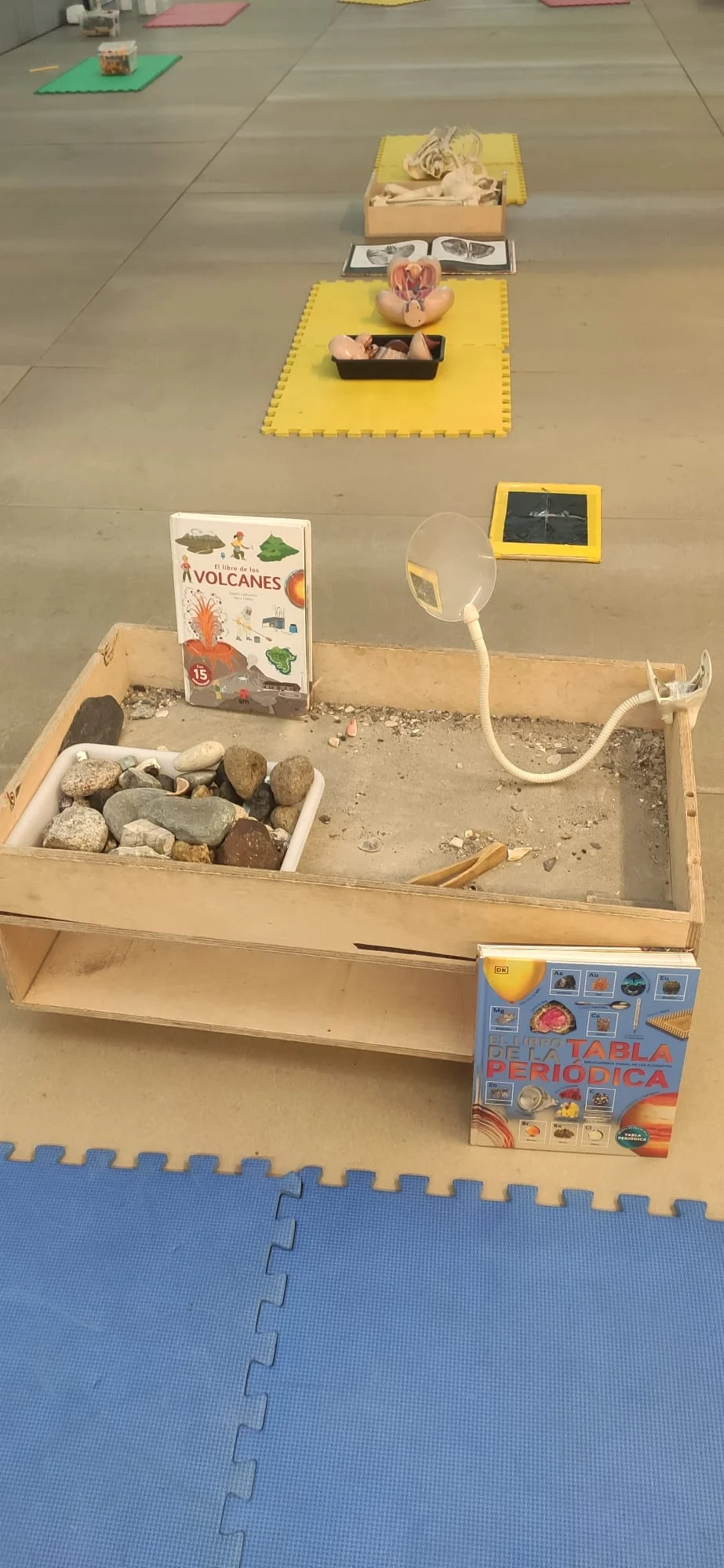 Investigactiva Science Room: Supermagnets, Energy and Nature photo 3