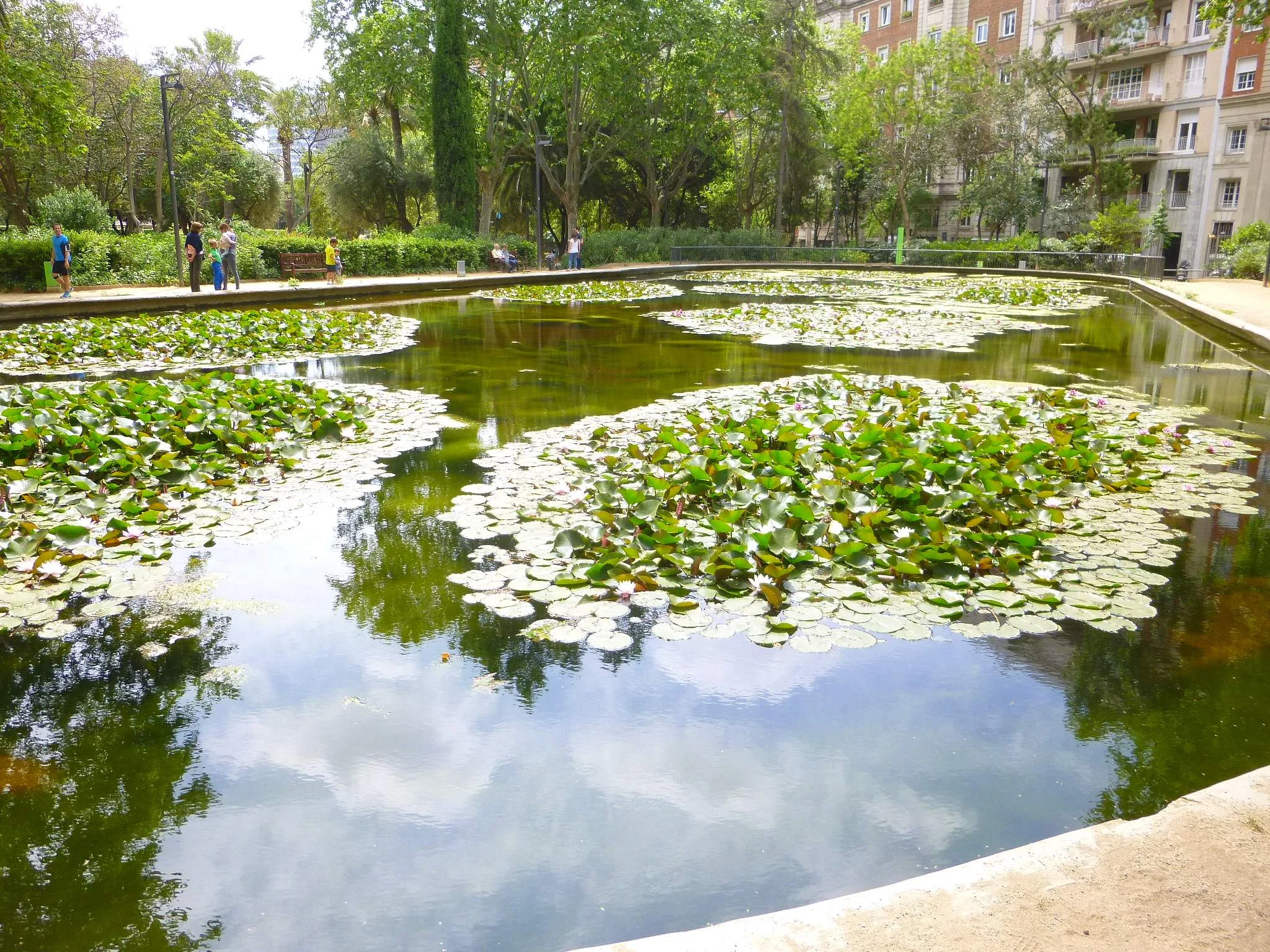Turó Park photo 2
