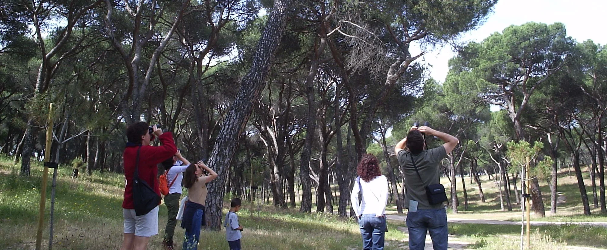 Hábitat Madrid: Free Fall Nature Activities in City Parks photo 2