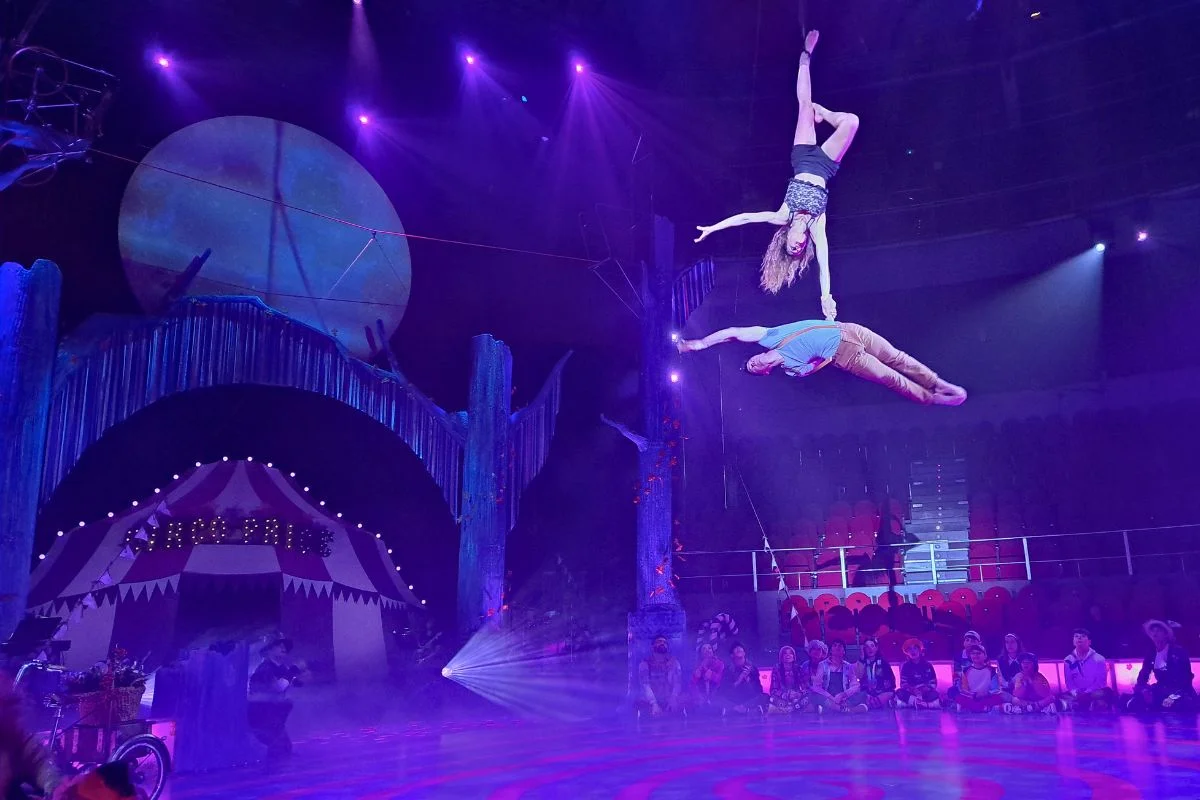 Circo Price en Navidad: The Christmas Circus Show photo 3