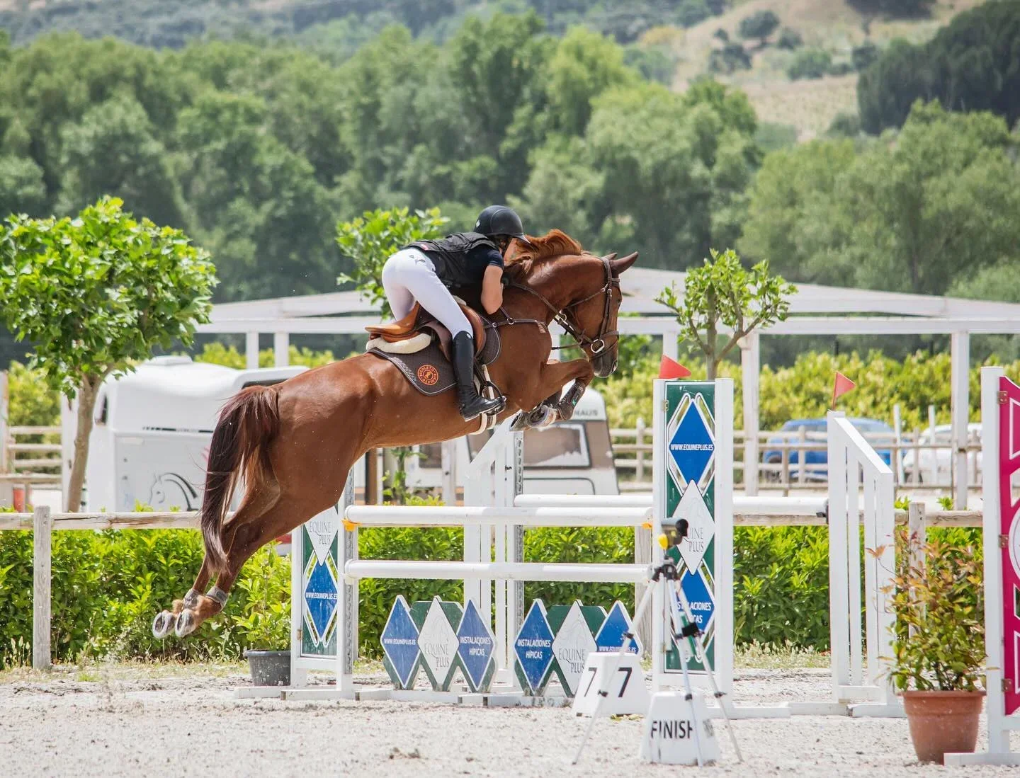 Pony Club and Riding School photo 2