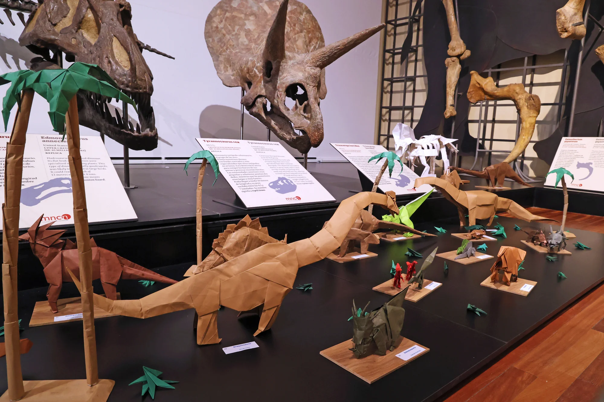 Dinosaur Sleepover at the Museo Nacional de Ciencias Naturales photo 2