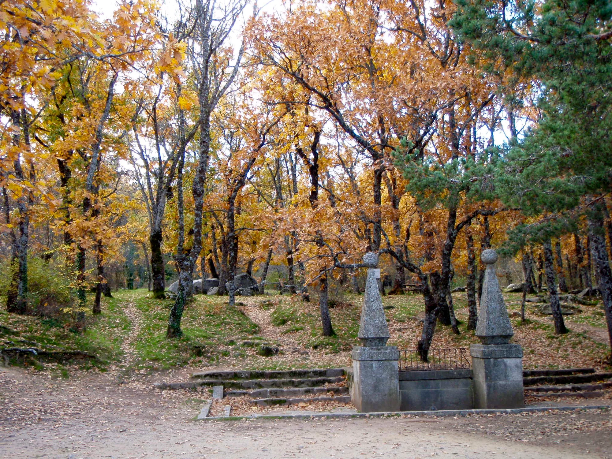 Bosque de La Herrería photo 2