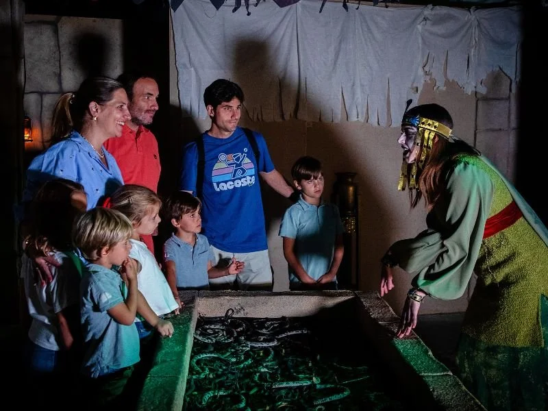 Parque de Atracciones Halloween: Kids' Haunted Zones and Terror Passages photo 3