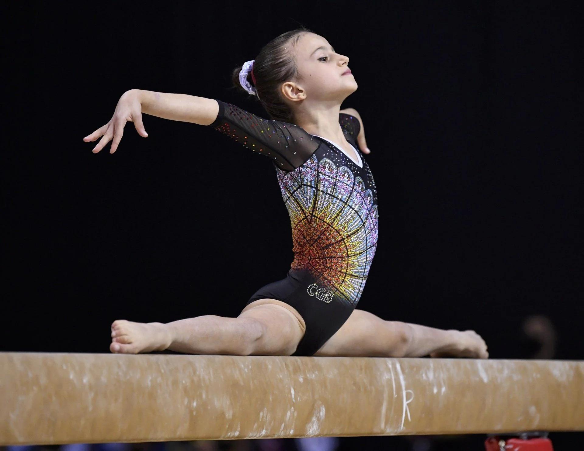 Artistic Gymnastics School photo 2