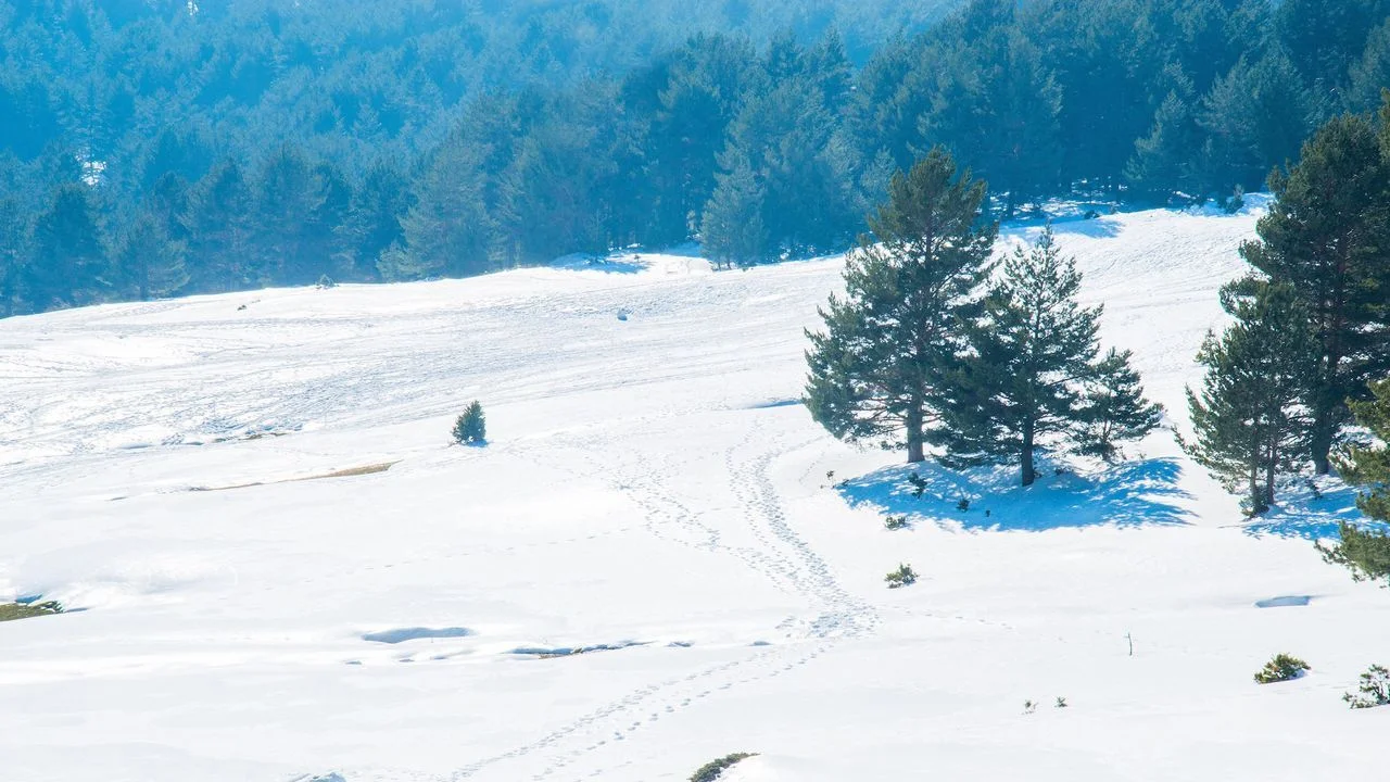 Puerto de Cotos Sledding Area photo 3
