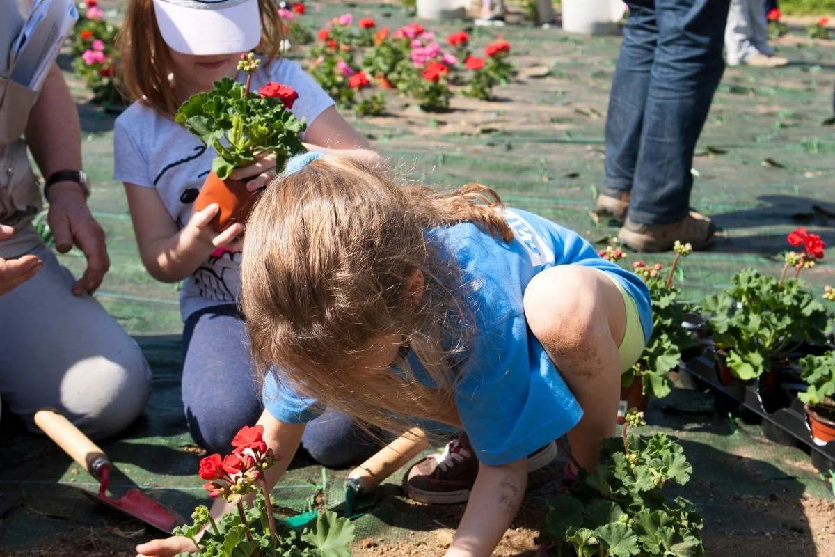 Free Sunday Workshops at the Botanical Garden photo 1