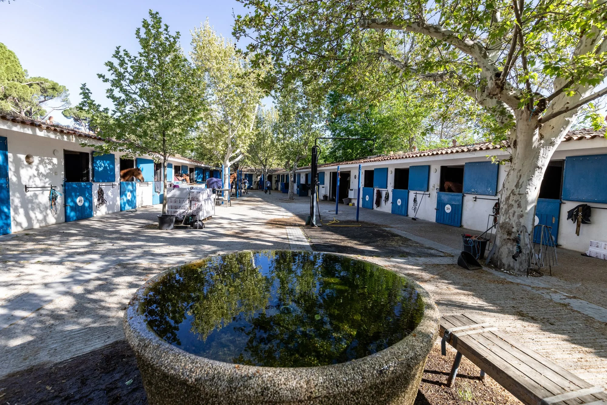 Horse Riding Camp: Club de Campo Villa de Madrid photo 4