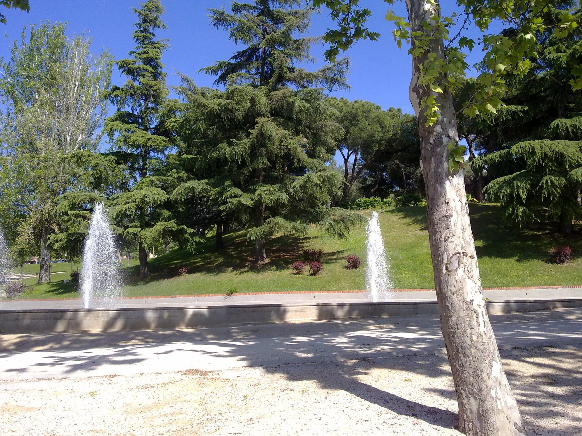 Parque El Paraíso photo 5