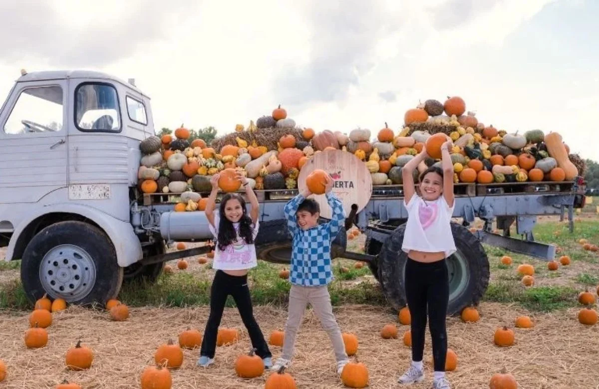 Pick Your Own Pumpkin at La Huerta de Aranjuez photo 2