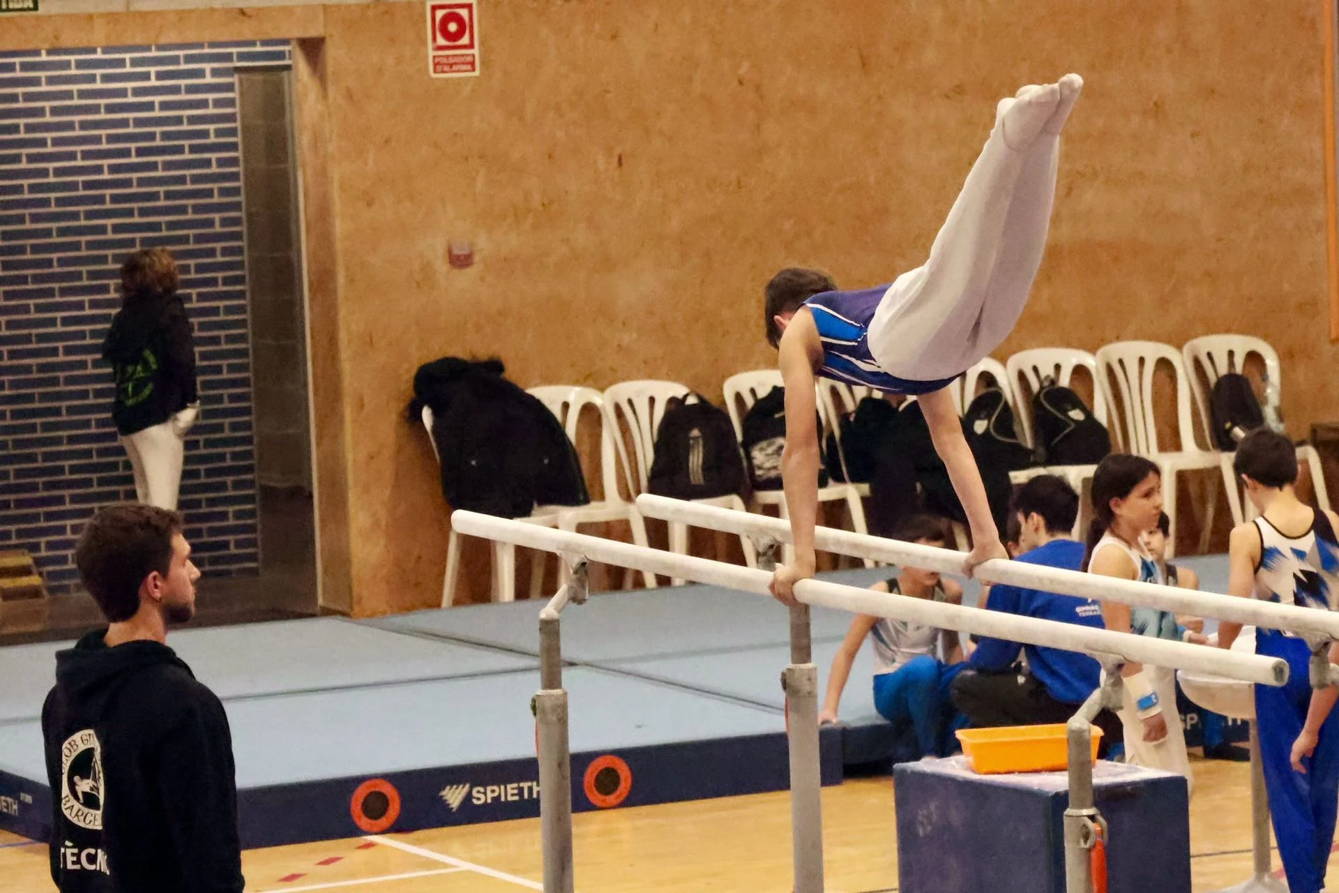 Artistic Gymnastics School photo 3