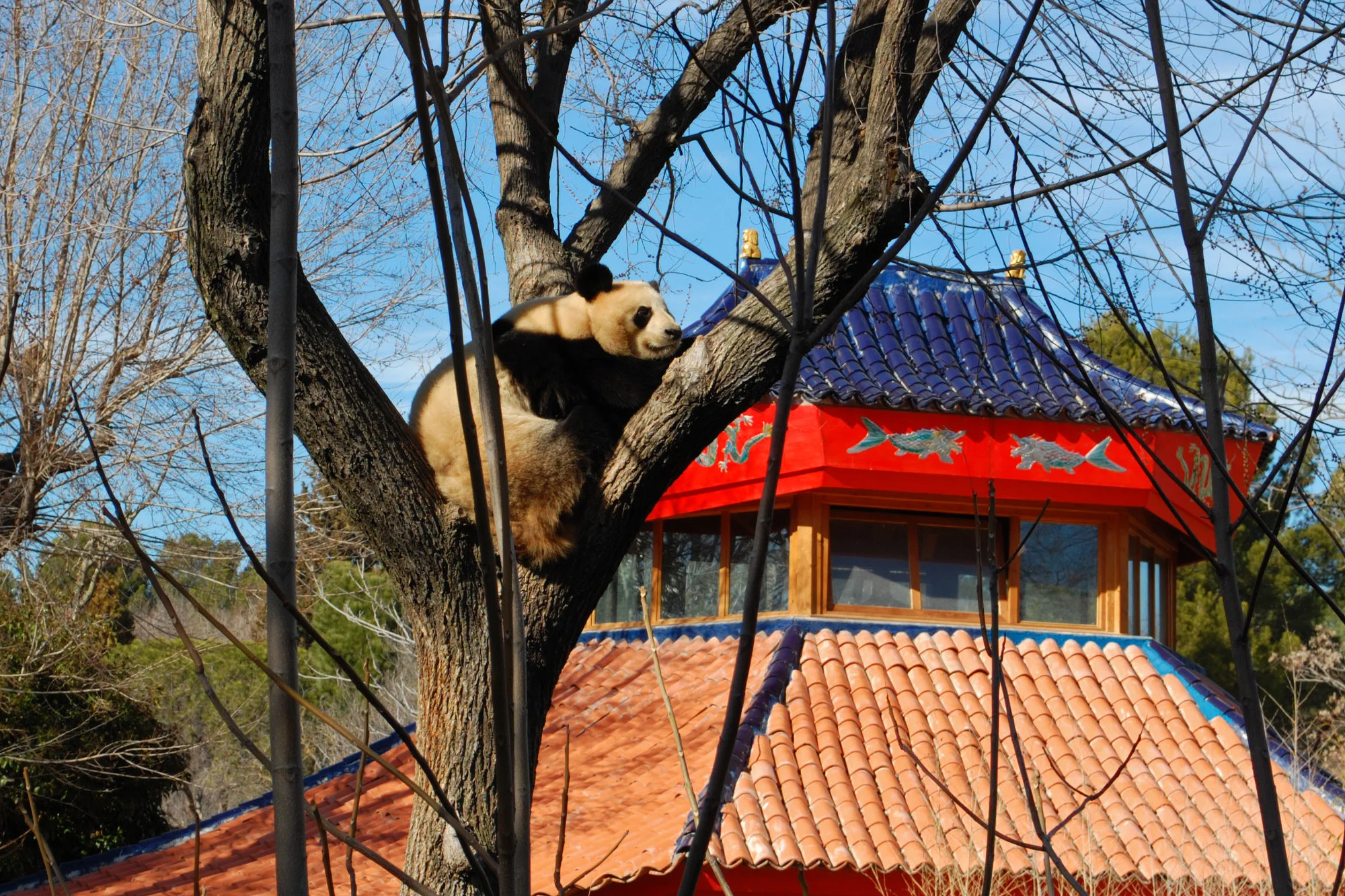 Zoo Aquarium de Madrid photo 4