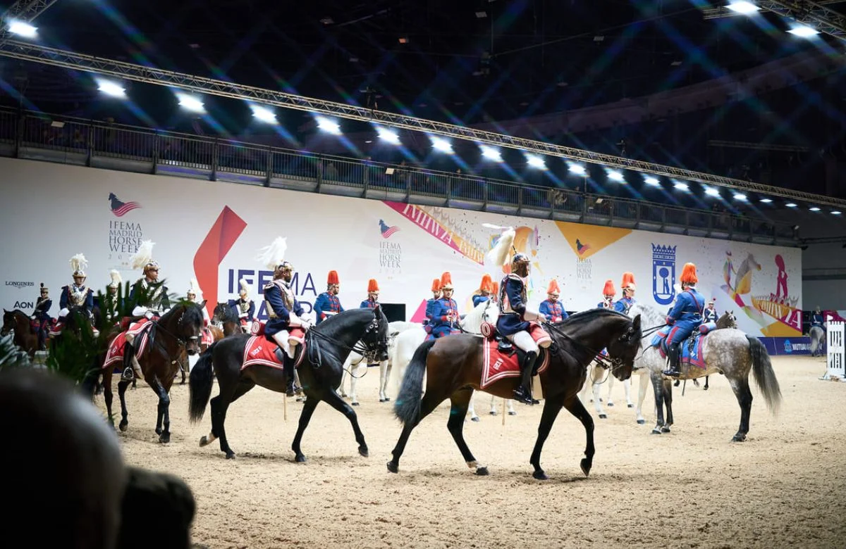 Mutua Madrid Horse Week: Show Jumping, Pony Races and a Horse Hall photo 5