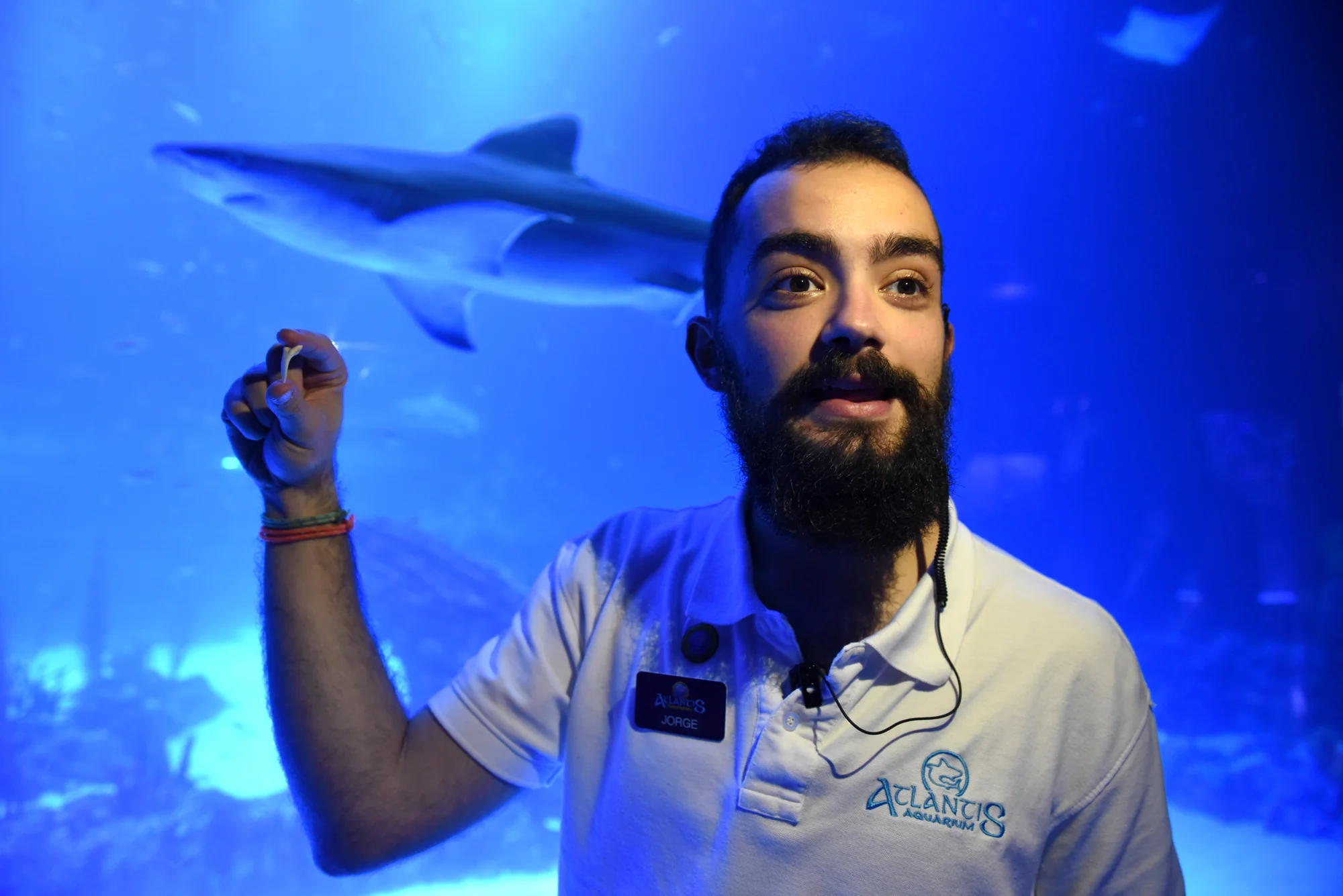Atlantis Aquarium Madrid photo 5