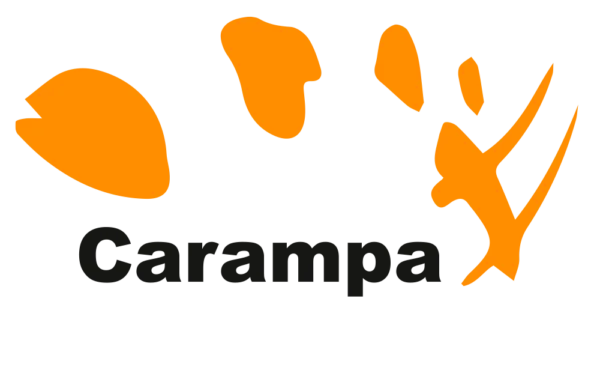 Escuela de Circo Carampa