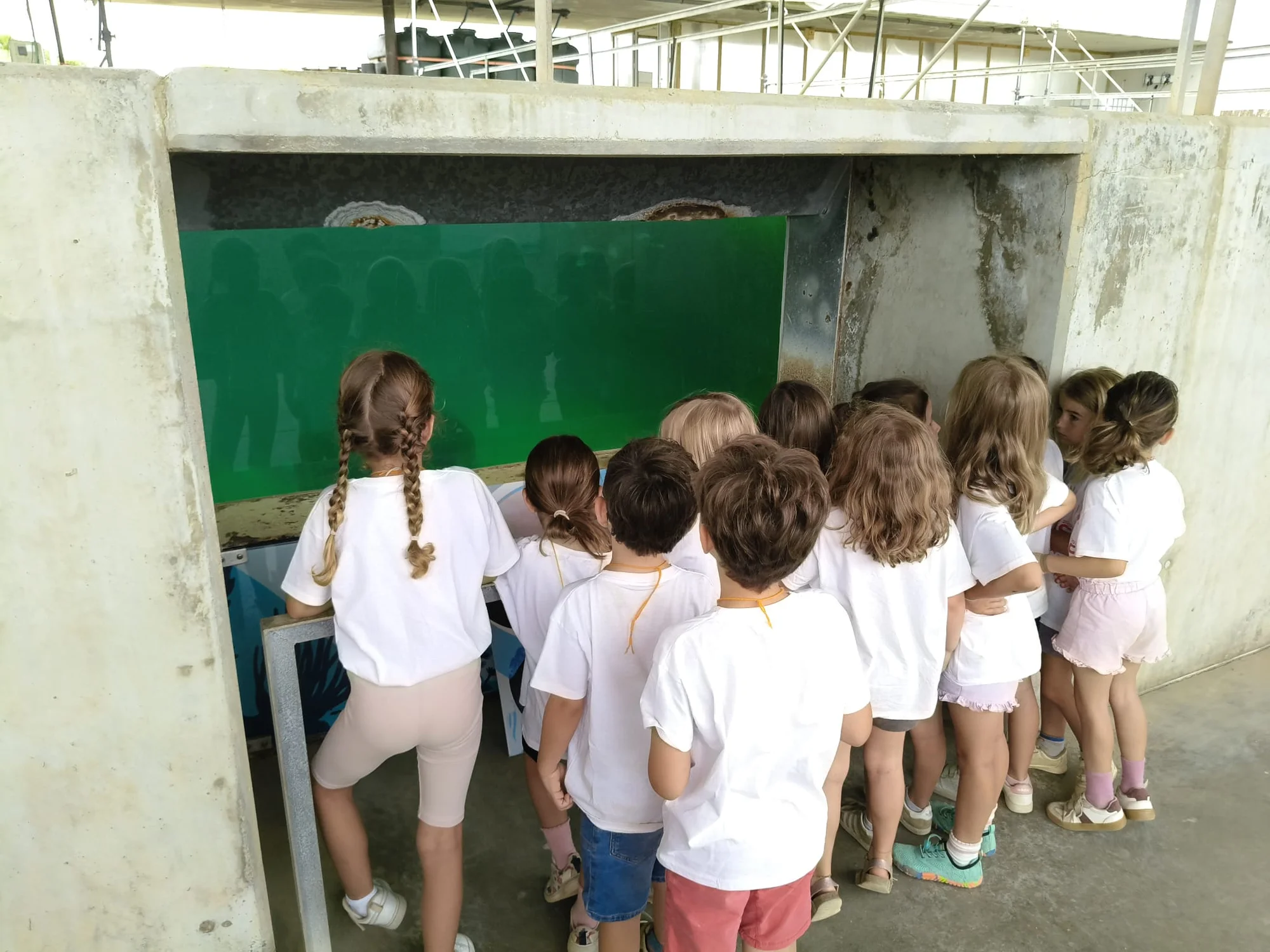 Casal de Lleure "Un Nadal diferent" (I2–I3) photo 5