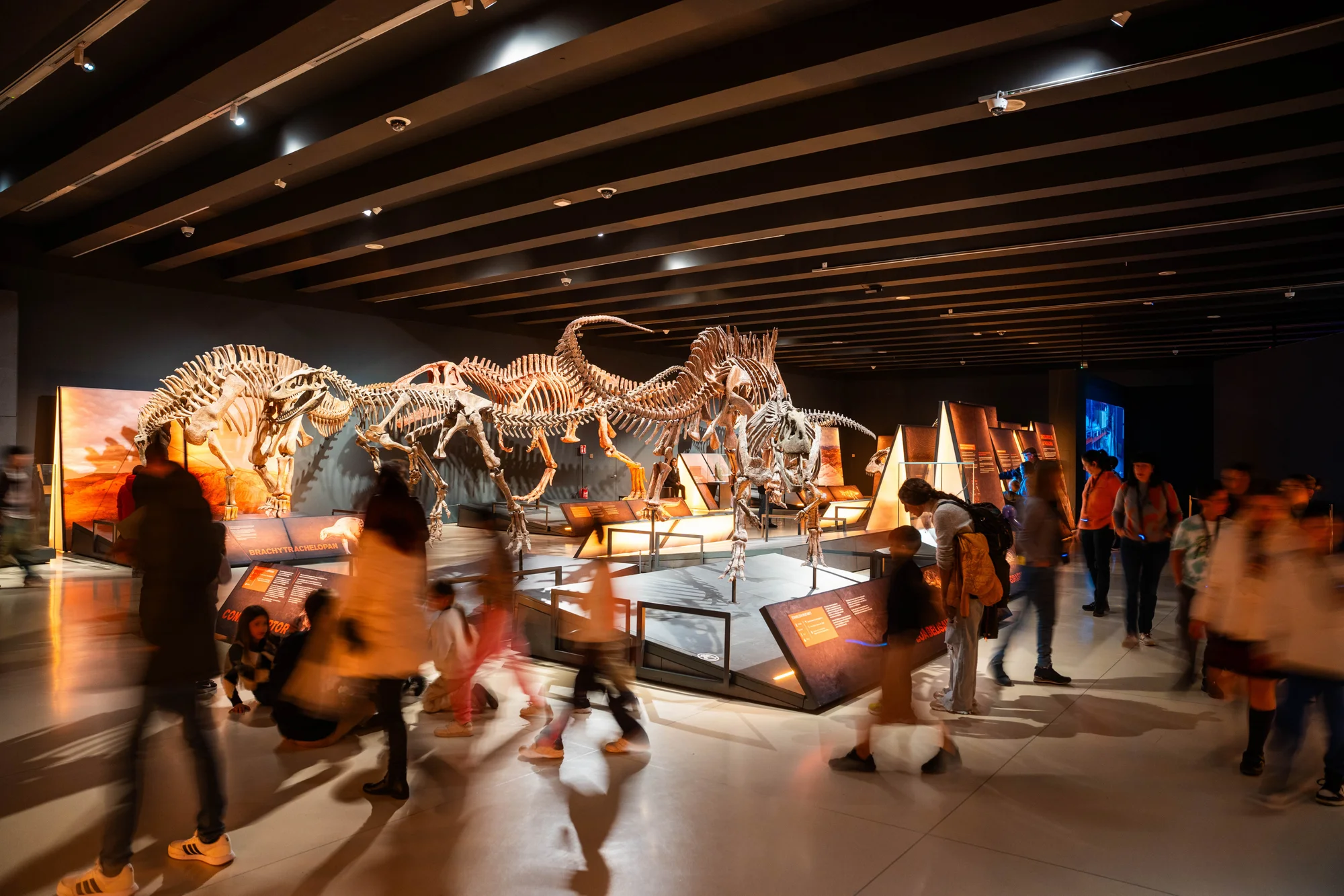 Dinosaur Sleepover at the Museo Nacional de Ciencias Naturales photo 4