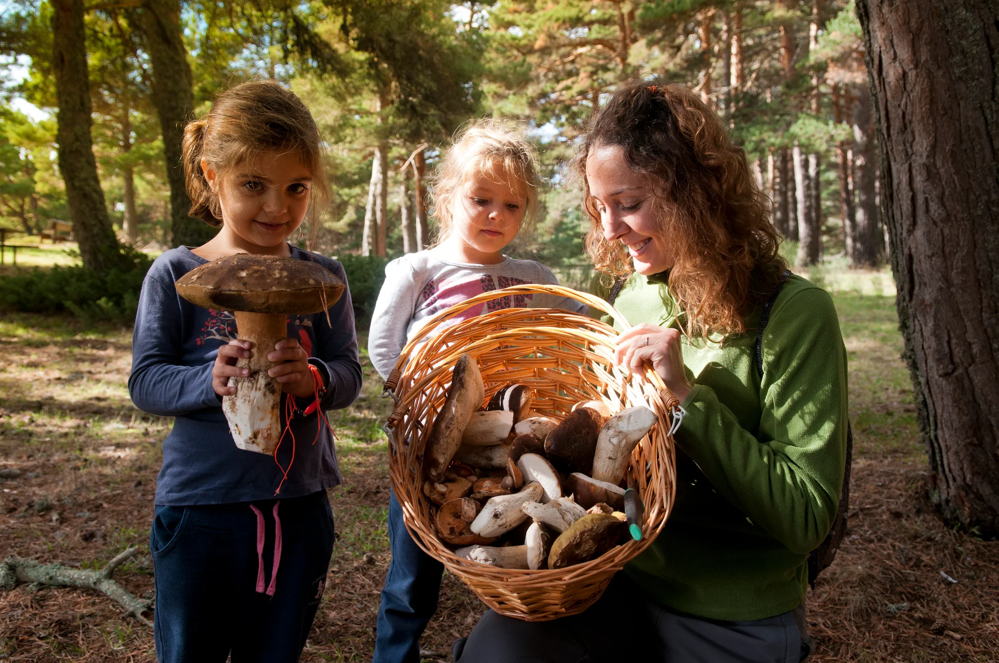 Mushroom Walks with a Mycologist in Rascafría and Bustarviejo photo 2