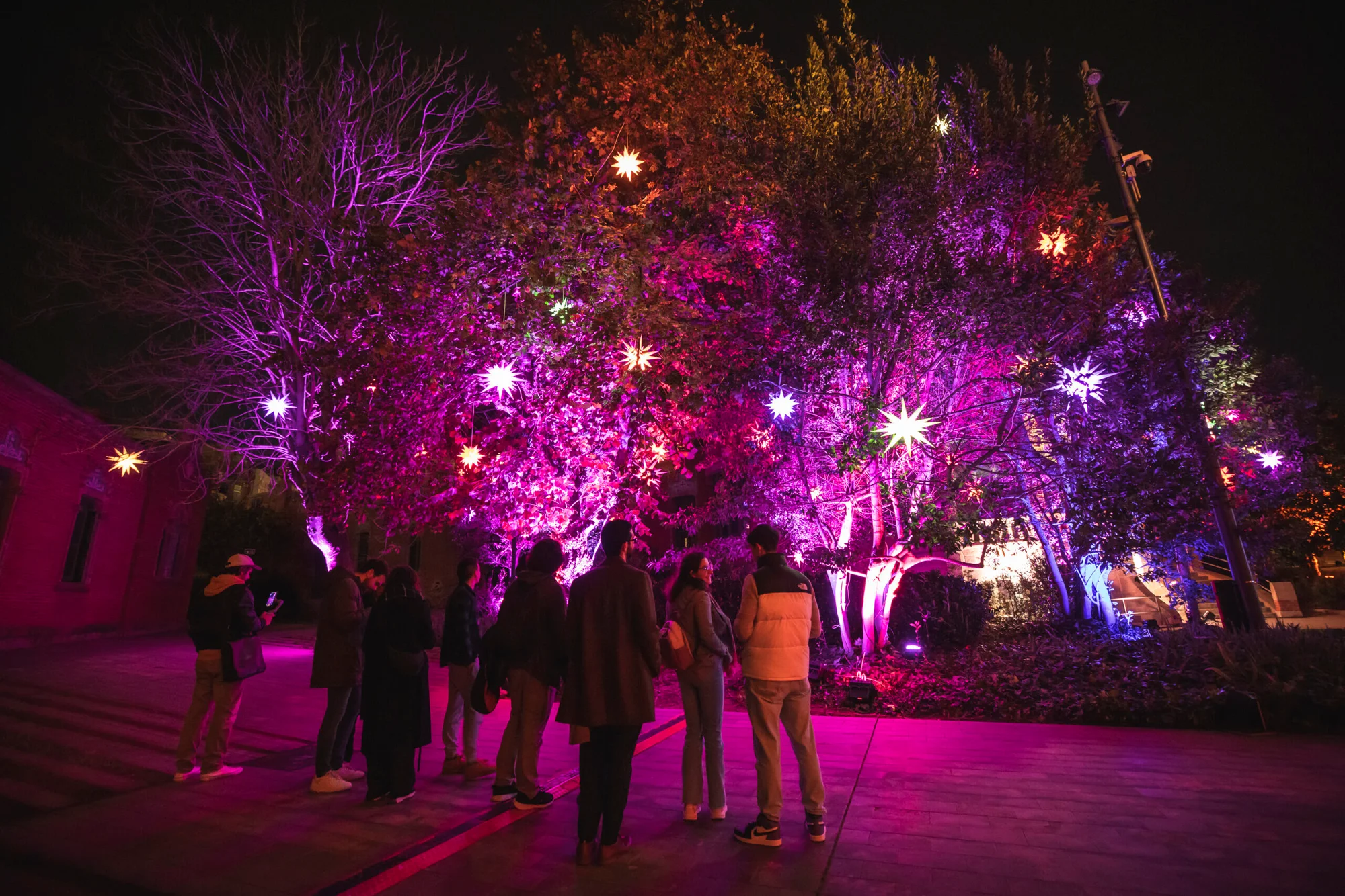 Els Llums de Sant Pau Christmas Light Trail photo 2
