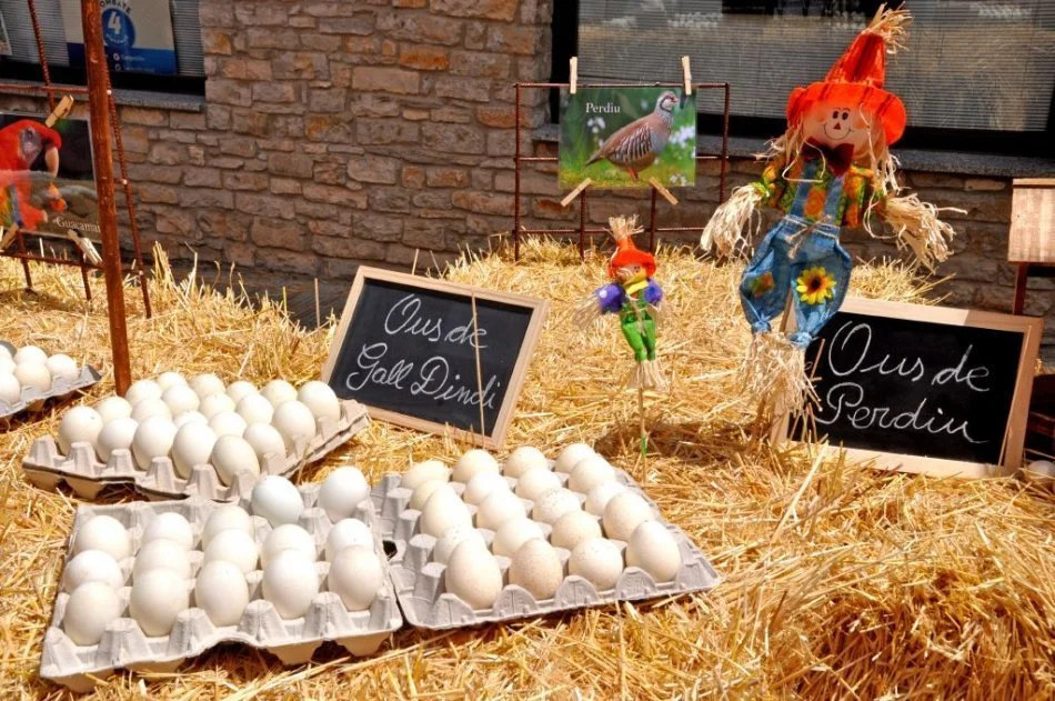 Free Fried Eggs and 26,000 Eggs to Take Home photo 2